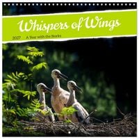 Produktbild: Whispers of Wings (Wall Calendar 2027 12 &times; 12 Inch) CALVENDO 12 Month Wall Calendar