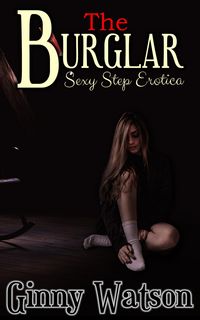 Produktbild: The Burglar