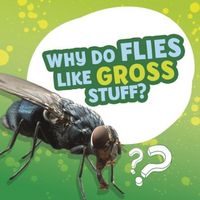 Produktbild: Why Do Flies Like Gross Stuff?
