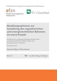 Produktbild: Handlungsoptionen zur Gestaltung des regulatorischen und energierechtlichen Rahmens im enera-Projekt