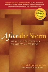 Produktbild: After the Storm