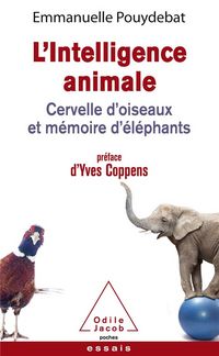 Produktbild: L'intelligence animale : cervelle d'oiseaux et m&eacute;moire d'&eacute;l&eacute;phants