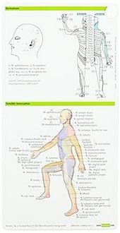Produktbild: Neurologie pocketcard Set