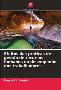 Produktbild: Efeitos das pr&aacute;ticas de gest&atilde;o de recursos humanos no desempenho dos trabalhadores