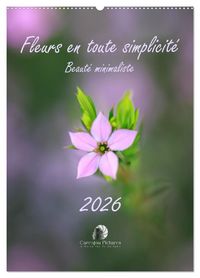 Produktbild: Fleurs en toute simplicit&eacute; - Beaut&eacute; minimaliste (Calendrier mural 2027 DIN A2 horizontal), CALVENDO calendrier mensuel