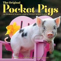Produktbild: Original Pckt Pigs Wall Cal 20