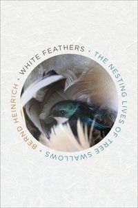 Produktbild: White Feathers