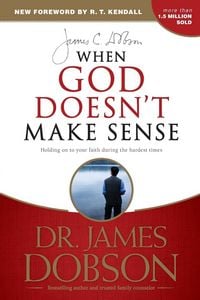 Produktbild: When God Doesn't Make Sense