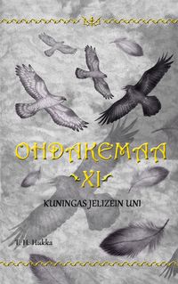 Produktbild: Ohdakemaa 11