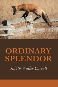 Produktbild: Ordinary Splendor