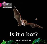 Produktbild: Is it a Bat?
