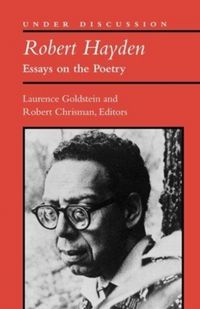 Produktbild: Robert Hayden Essays On The Po