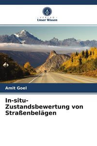 Produktbild: In-situ-Zustandsbewertung von Stra&szlig;enbel&auml;gen