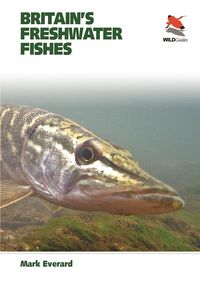 Produktbild: Britain's Freshwater Fishes