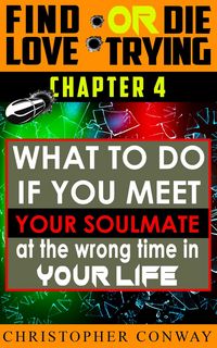 Produktbild: What to Do if You Meet Your Soulmate at the Wrong Time In Your Life (Find Love or Die Trying, #5)