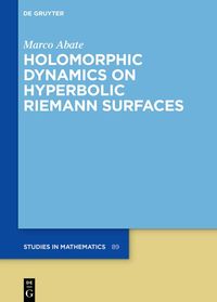Produktbild: Holomorphic Dynamics on Hyperbolic Riemann Surfaces