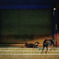Produktbild: Pure Devotion