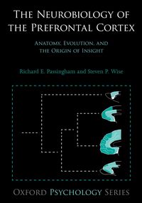 Produktbild: The Neurobiology of the Prefrontal Cortex