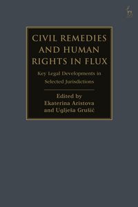 Produktbild: Civil Remedies and Human Rights in Flux