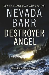 Produktbild: Destroyer Angel (Anna Pigeon Mysteries, Book 18)