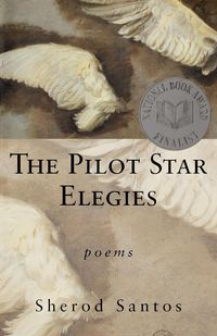 Produktbild: The Pilot Star Elegies