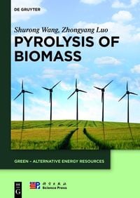 Produktbild: Pyrolysis of Biomass