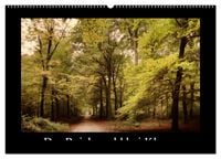 Produktbild: Der Reichswald bei Kleve (Wandkalender 2026 DIN A2 quer), CALVENDO Monatskalender