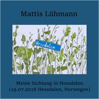 Produktbild: Meine Sichtung in Hessdalen (19.07.2018 Hessdalen, Norwegen)