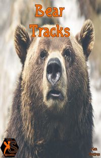 Produktbild: Bear Tracks