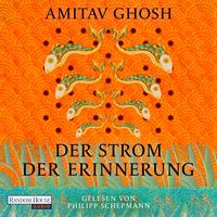 Produktbild: Der Strom der Erinnerung
