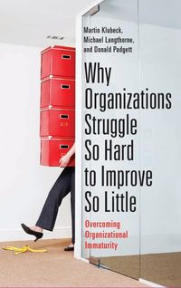 Produktbild: Why Organizations Struggle So Hard to Improve So Little