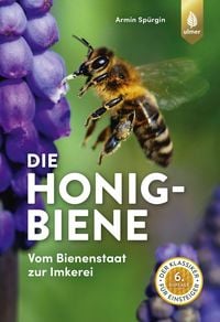 Produktbild: Die Honigbiene