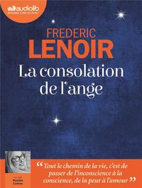 Produktbild: La consolation de l'ange