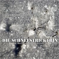 Produktbild: Die Schneestrickerin