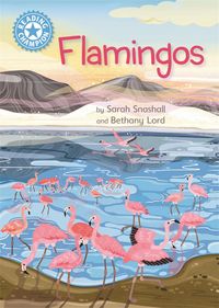 Produktbild: Reading Champion: Flamingos