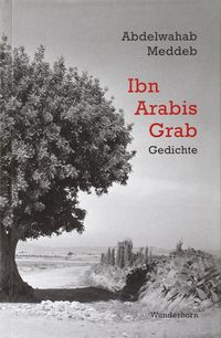 Produktbild: Ibn Arabis Grab