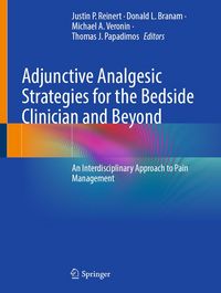 Produktbild: Adjunctive Analgesic Strategies for the Bedside Clinician and Beyond