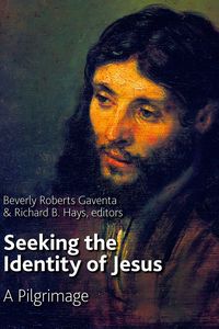 Produktbild: Seeking the Identity of Jesus