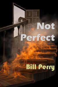 Produktbild: Not Perfect