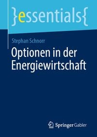 Produktbild: Optionen in der Energiewirtschaft
