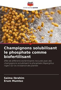 Produktbild: Champignons solubilisant le phosphate comme biofertilisant