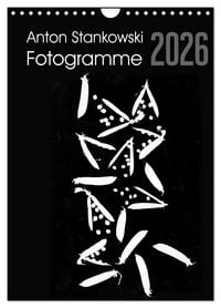 Produktbild: Anton Stankowski Fotogramme (Wandkalender 2026 DIN A4 hoch), CALVENDO Monatskalender