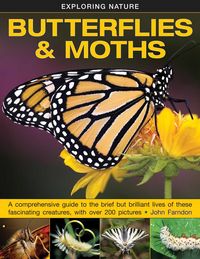 Produktbild: Exploring Nature: Butterflies & Moths