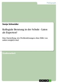 Bild vom Artikel Kollegiale Beratung in der Schule - Laien als Experten? vom Autor Sonja Schneider