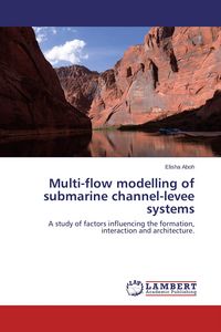 Produktbild: Multi-flow modelling of submarine channel-levee systems