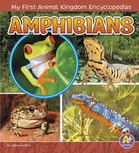 Produktbild: Amphibians