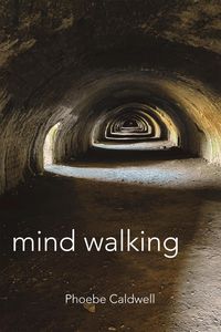 Produktbild: Mind Walking