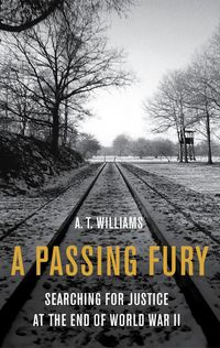 Produktbild: A Passing Fury
