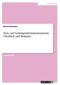 Produktbild: Netz- und Leitungsinformationssysteme: &Uuml;berblick und Beispiele