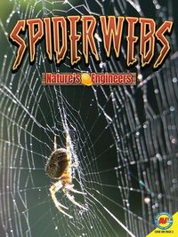 Produktbild: Spiderwebs